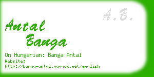 antal banga business card